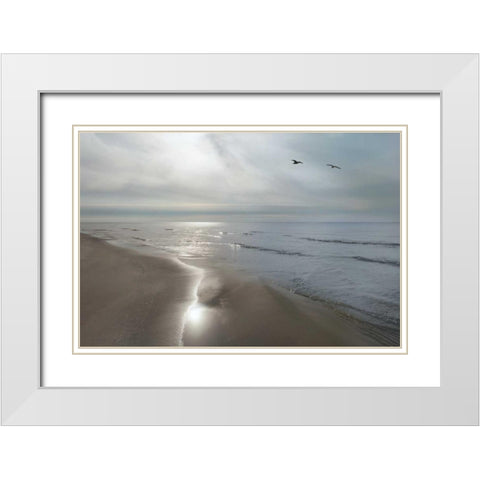Beach Flight White Modern Wood Framed Art Print with Double Matting by Nagler, Monte