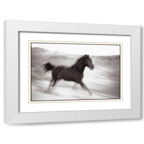 Americana White Modern Wood Framed Art Print with Double Matting by OMara, James