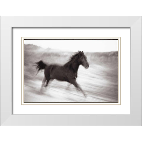 Americana White Modern Wood Framed Art Print with Double Matting by OMara, James
