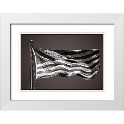 Americana White Modern Wood Framed Art Print with Double Matting by OMara, James