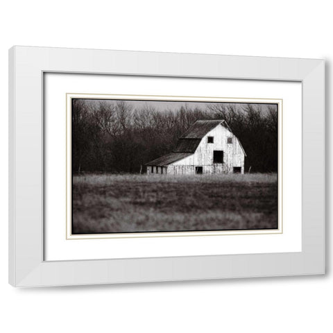 Americana White Modern Wood Framed Art Print with Double Matting by OMara, James