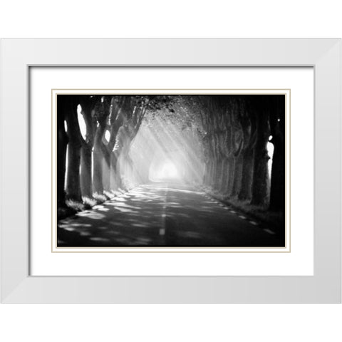 Provence White Modern Wood Framed Art Print with Double Matting by OMara, James