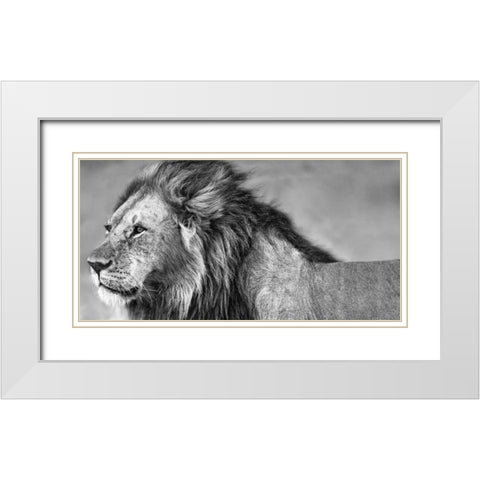 Lion Eyes White Modern Wood Framed Art Print with Double Matting by Ortega, Xavier