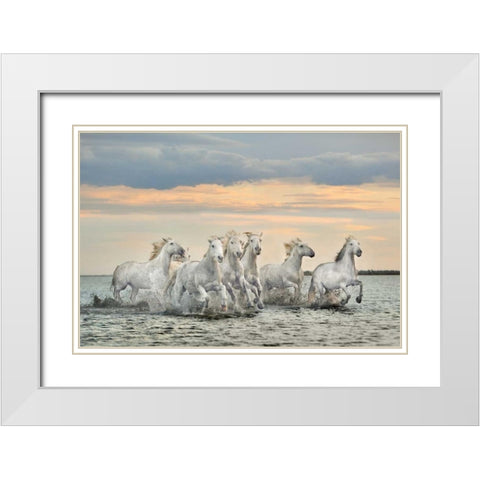 Camargue Horses - France White Modern Wood Framed Art Print with Double Matting by Ortega, Xavier