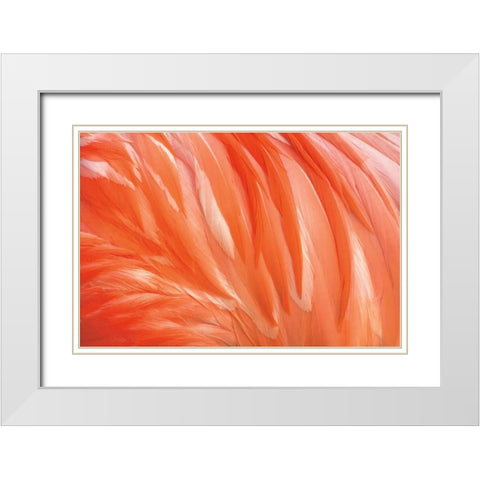 Danza de la Pluma White Modern Wood Framed Art Print with Double Matting by Ortega, Xavier