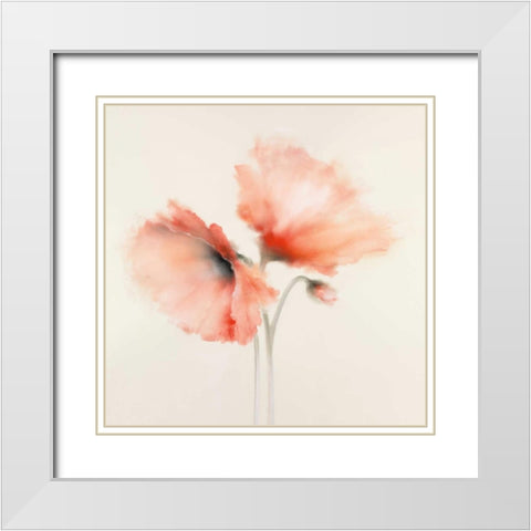 Pink Chiffon I White Modern Wood Framed Art Print with Double Matting by Prior, J.P.