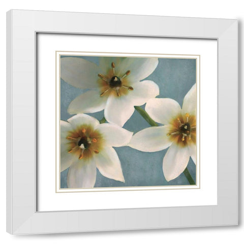 Lily Parfait I White Modern Wood Framed Art Print with Double Matting by Pahl, Janel