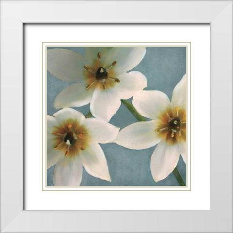 Lily Parfait I White Modern Wood Framed Art Print with Double Matting by Pahl, Janel