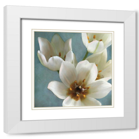 Lily Parfait II White Modern Wood Framed Art Print with Double Matting by Pahl, Janel