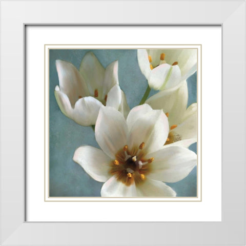 Lily Parfait II White Modern Wood Framed Art Print with Double Matting by Pahl, Janel