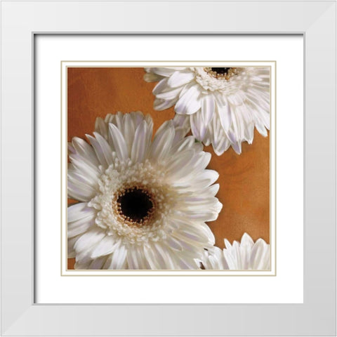 Gerber Delight I White Modern Wood Framed Art Print with Double Matting by Pahl, Janel