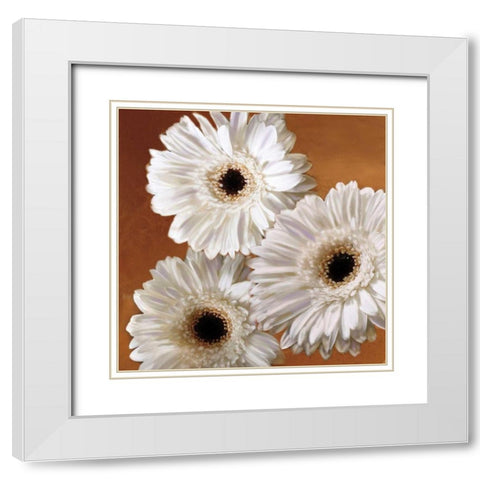Gerber Delight II White Modern Wood Framed Art Print with Double Matting by Pahl, Janel
