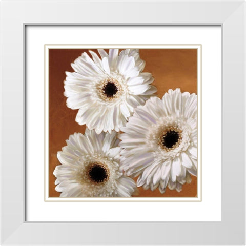 Gerber Delight II White Modern Wood Framed Art Print with Double Matting by Pahl, Janel