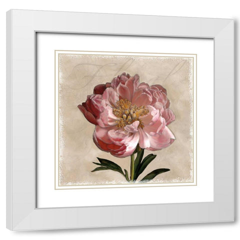 Peony I White Modern Wood Framed Art Print with Double Matting by Pahl, Janel