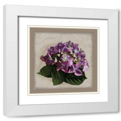 Botanical Hydrenga White Modern Wood Framed Art Print with Double Matting by Pahl, Janel