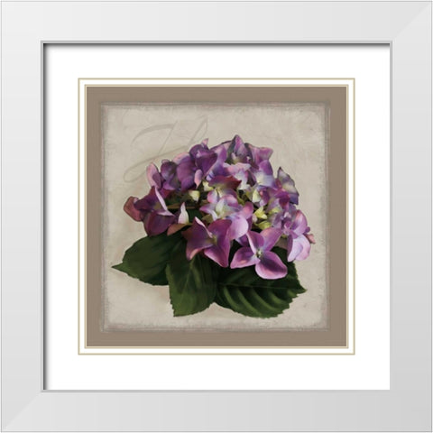 Botanical Hydrenga White Modern Wood Framed Art Print with Double Matting by Pahl, Janel