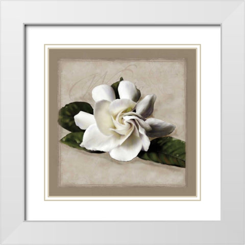 Botanical Gardenia White Modern Wood Framed Art Print with Double Matting by Pahl, Janel