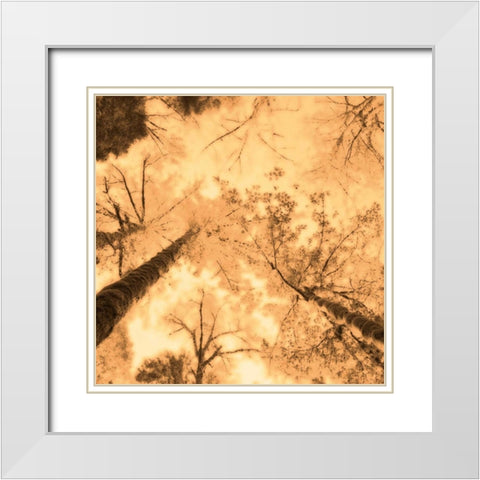 Epiphany I White Modern Wood Framed Art Print with Double Matting by Pelkey, Marvin