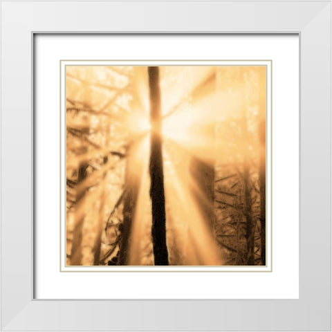Epiphany II White Modern Wood Framed Art Print with Double Matting by Pelkey, Marvin