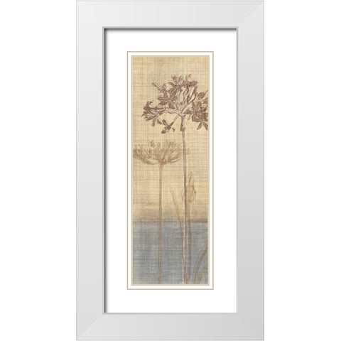 Botanical Sketchbook II White Modern Wood Framed Art Print with Double Matting by Venter, Tandi