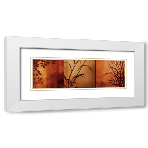 Views of Nature II White Modern Wood Framed Art Print with Double Matting by Aparicio, Edward