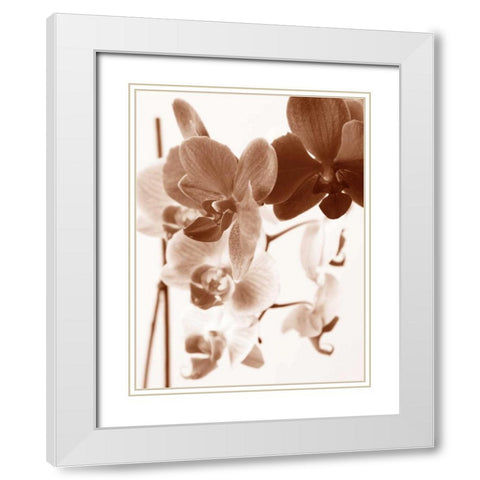 Dreamy Orchids I White Modern Wood Framed Art Print with Double Matting by Szilagyi, lly