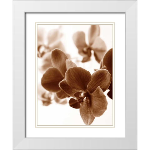 Dreamy Orchids II White Modern Wood Framed Art Print with Double Matting by Szilagyi, lly