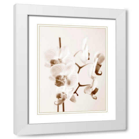 No Boundaries I White Modern Wood Framed Art Print with Double Matting by Szilagyi, lly