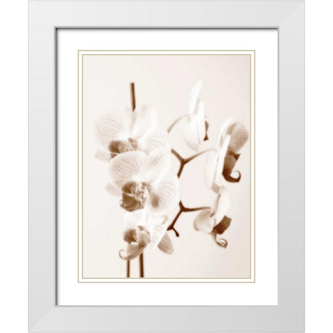 No Boundaries I White Modern Wood Framed Art Print with Double Matting by Szilagyi, lly