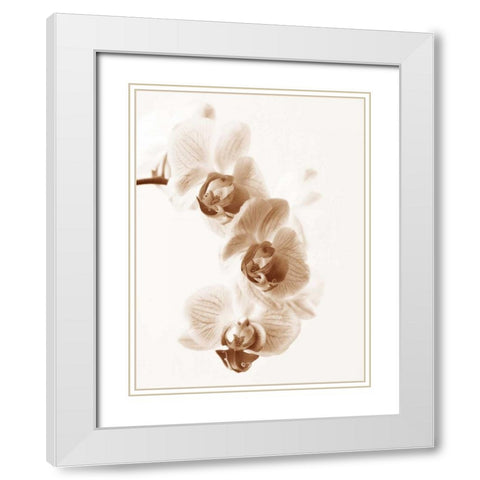No Boundaries II White Modern Wood Framed Art Print with Double Matting by Szilagyi, lly