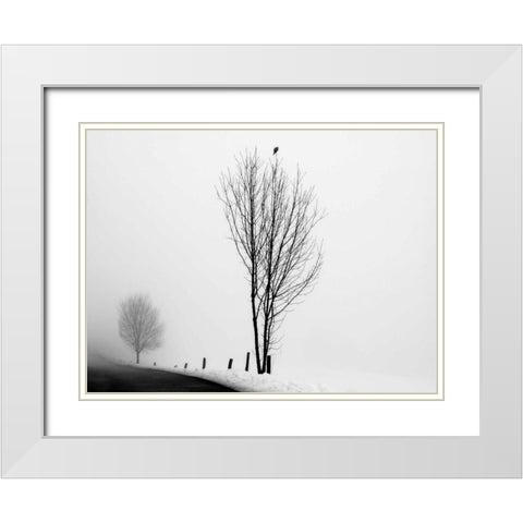 The Messenger White Modern Wood Framed Art Print with Double Matting by Szilagyi, lly