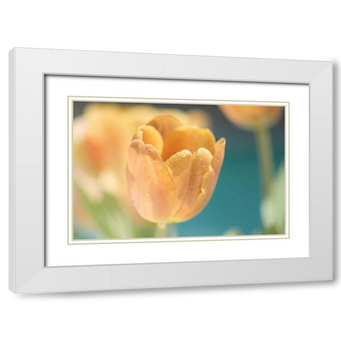 Delightful White Modern Wood Framed Art Print with Double Matting by Marie, Dina
