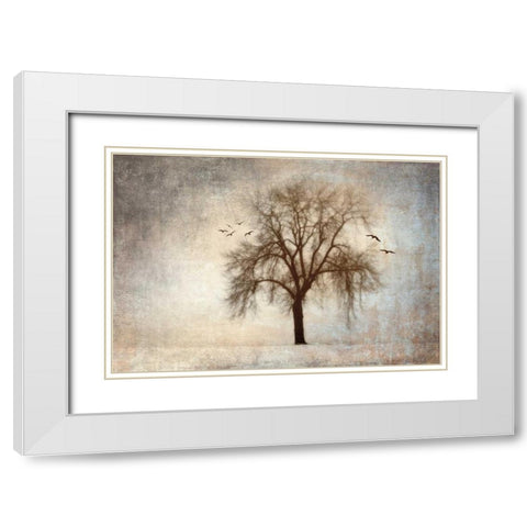Treehouse White Modern Wood Framed Art Print with Double Matting by Szilagyi, Ily
