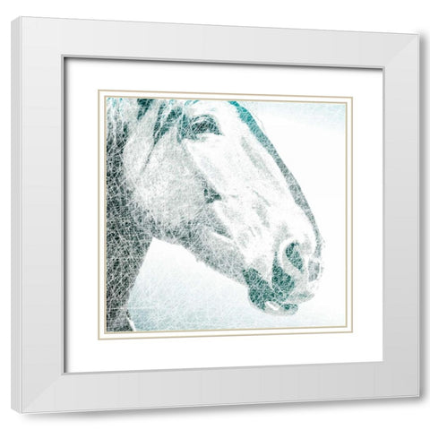 Equus White Modern Wood Framed Art Print with Double Matting by Pelkey, Marvin