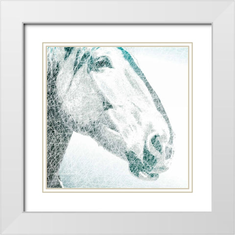 Equus White Modern Wood Framed Art Print with Double Matting by Pelkey, Marvin