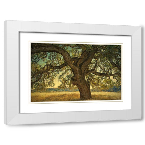 Blue Oak Silhouette White Modern Wood Framed Art Print with Double Matting by Guion, William