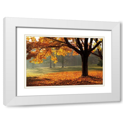 Autumn White Modern Wood Framed Art Print with Double Matting by Jones, Mike