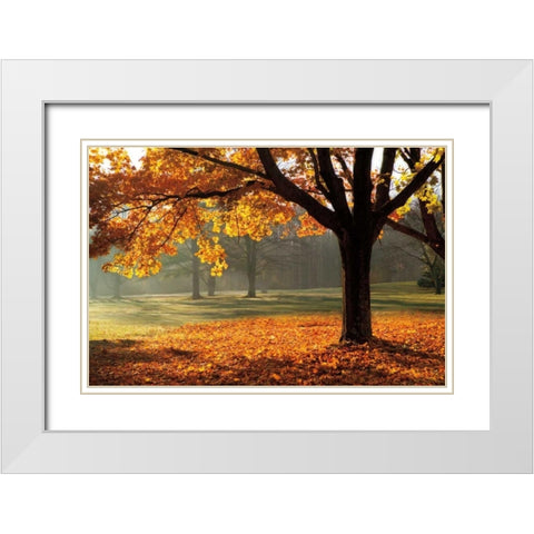 Autumn White Modern Wood Framed Art Print with Double Matting by Jones, Mike