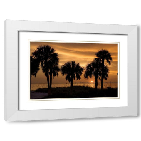 Tropical Park Sunset White Modern Wood Framed Art Print with Double Matting by Jones, Mike