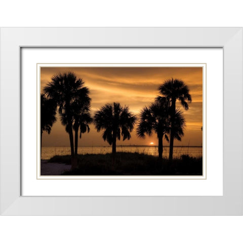 Tropical Park Sunset White Modern Wood Framed Art Print with Double Matting by Jones, Mike