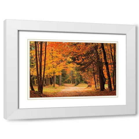 Autumn Walk White Modern Wood Framed Art Print with Double Matting by Jones, Mike