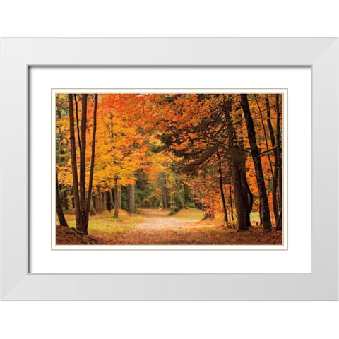 Autumn Walk White Modern Wood Framed Art Print with Double Matting by Jones, Mike