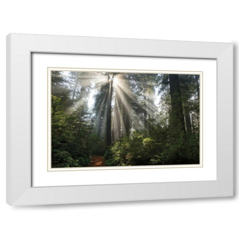 Shine On You White Modern Wood Framed Art Print with Double Matting by Jones, Mike