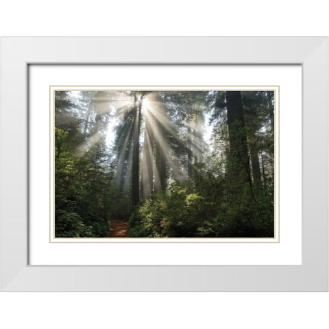 Shine On You White Modern Wood Framed Art Print with Double Matting by Jones, Mike