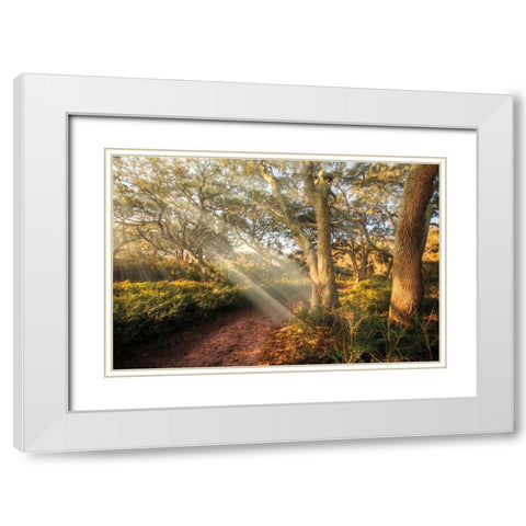 Inspiration White Modern Wood Framed Art Print with Double Matting by Celebrate Life Gallery