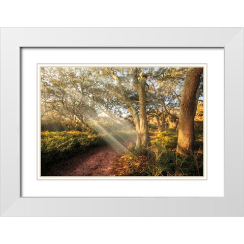 Inspiration White Modern Wood Framed Art Print with Double Matting by Celebrate Life Gallery