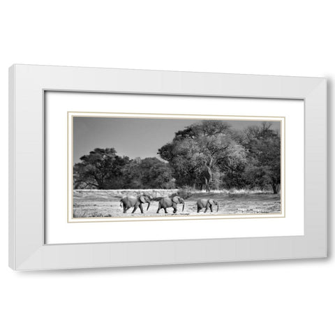 Follow The Leader White Modern Wood Framed Art Print with Double Matting by Ortega, Xavier