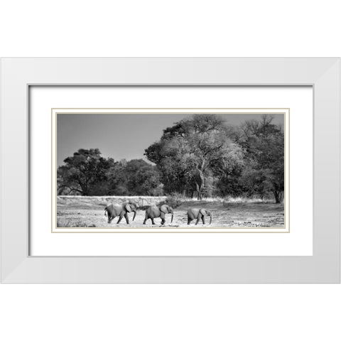 Follow The Leader White Modern Wood Framed Art Print with Double Matting by Ortega, Xavier