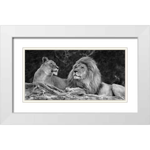 Love White Modern Wood Framed Art Print with Double Matting by Ortega, Xavier