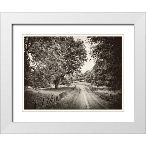 Country Roads White Modern Wood Framed Art Print with Double Matting by Pahl, Janel